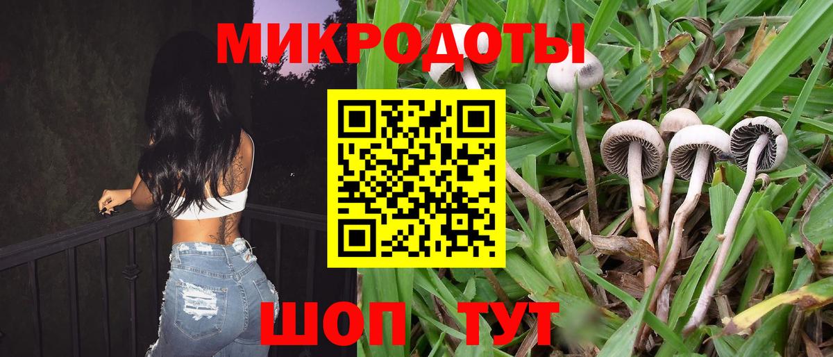 Полысаево  Галлюциногенные грибы Cubensis  Вход с VPN 